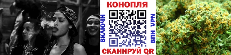 Бошки Шишки планчик  Купить закладки  Красавино 